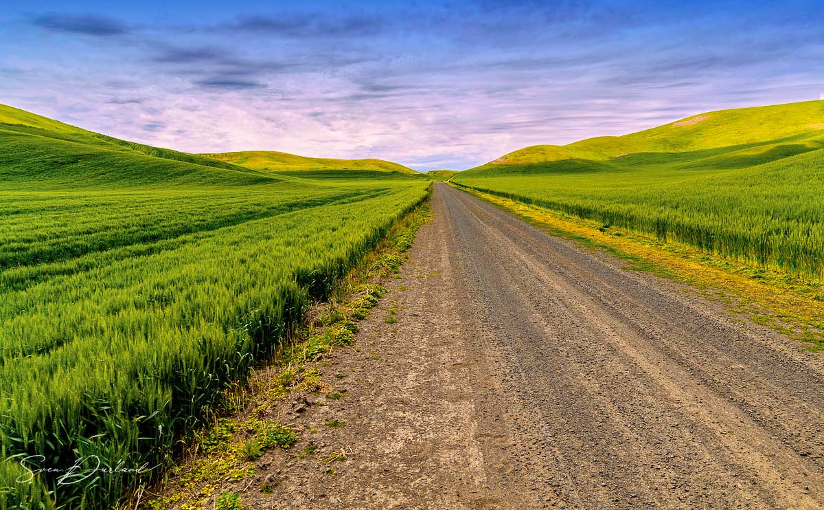 Palouse landscape with straight road