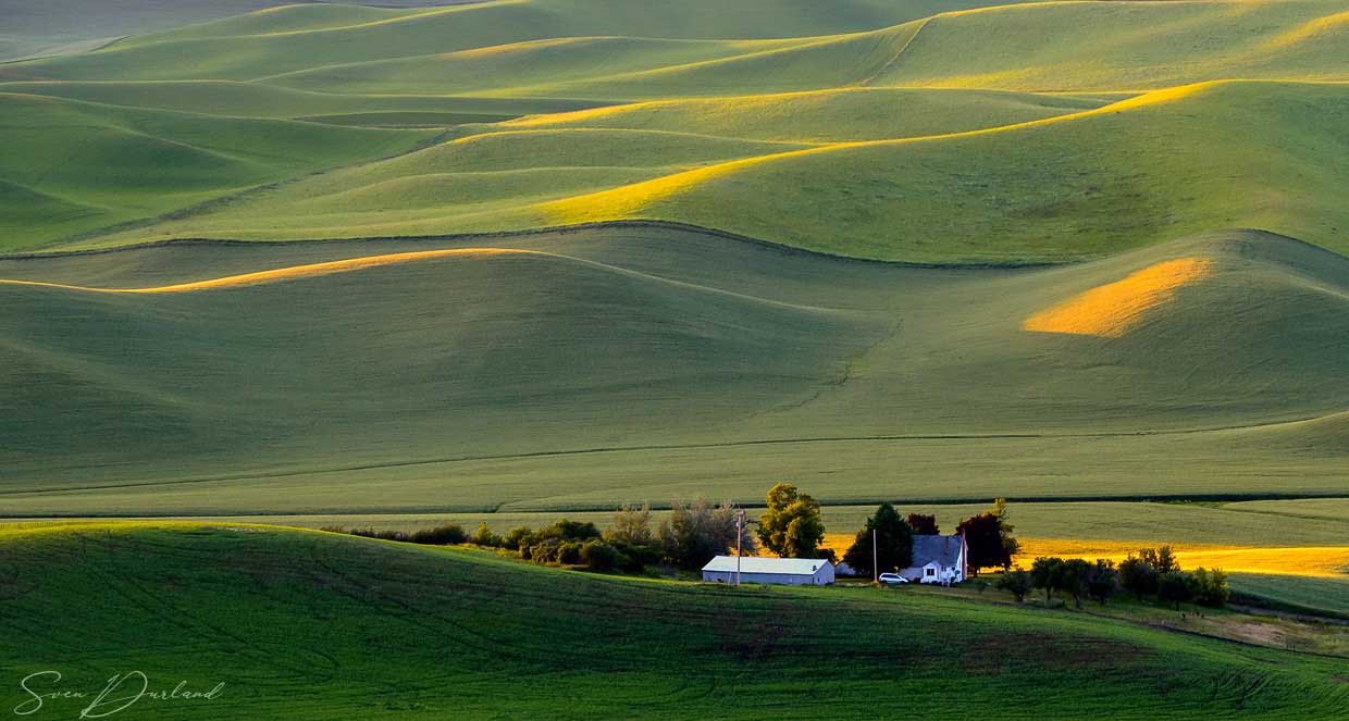Rolling hills at sunset in the Palouse