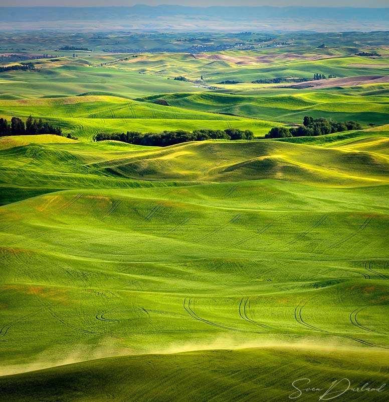 Rolling hills in the Palouse
