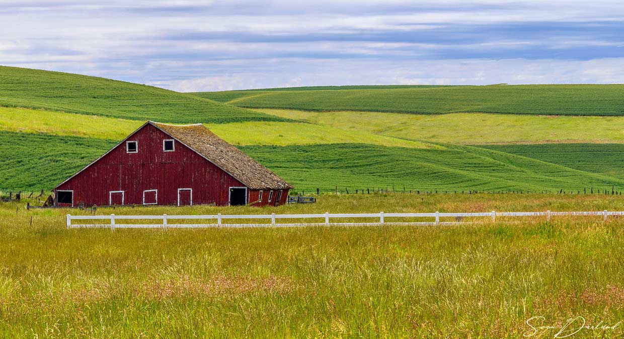 Red barn in the Palouse