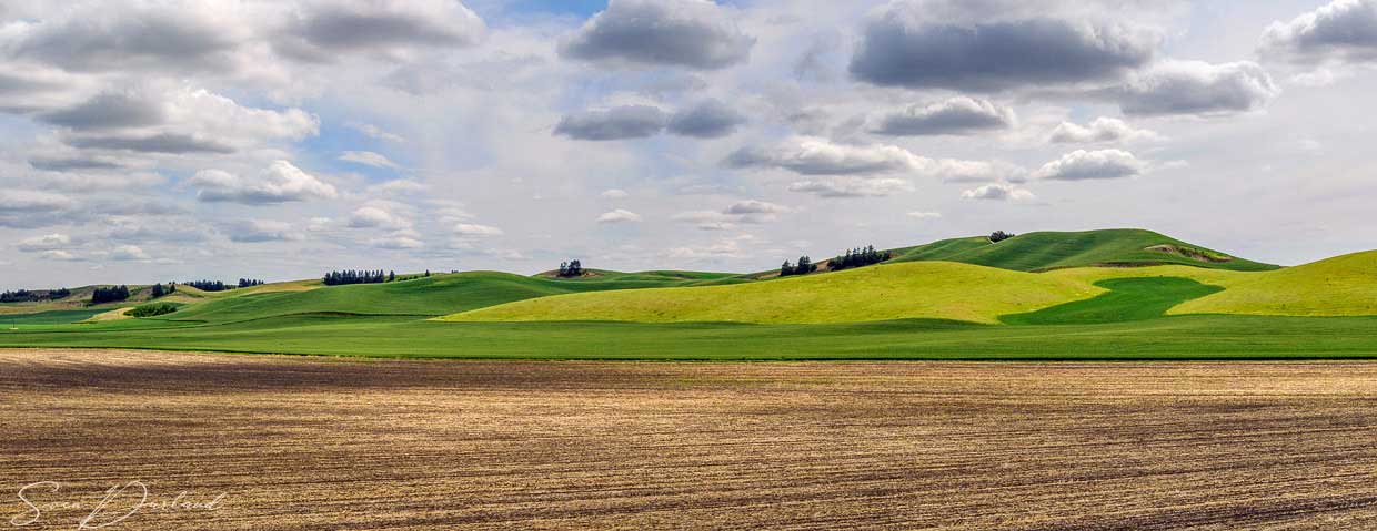 Patchwork fields in the Palouse