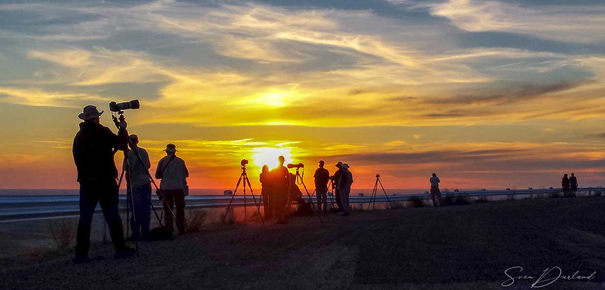 Photographers at Steptoe Butte, The Palouse