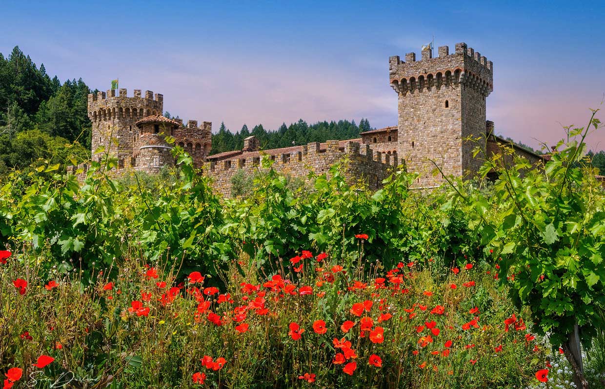 Castello vineyard Callistoga