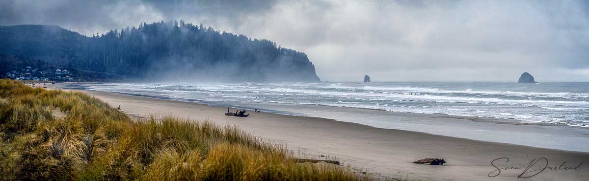 Oregon Coast view with fog