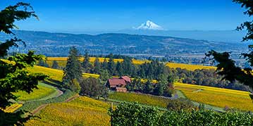 Oregon Wine Country
