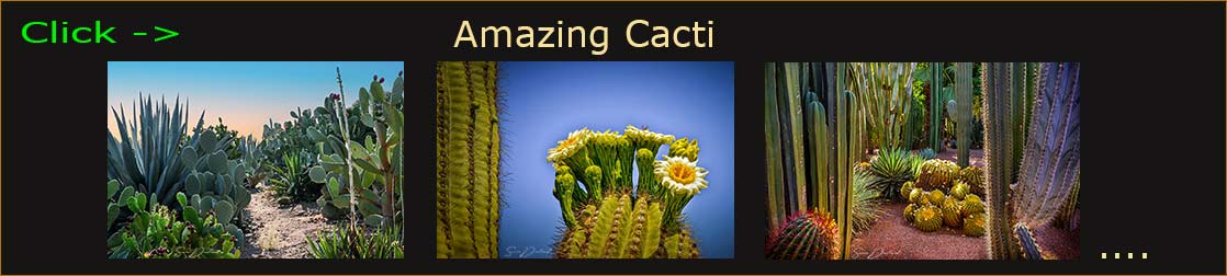 Sven Durland blog header