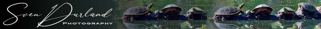 Sven Durland blog heading