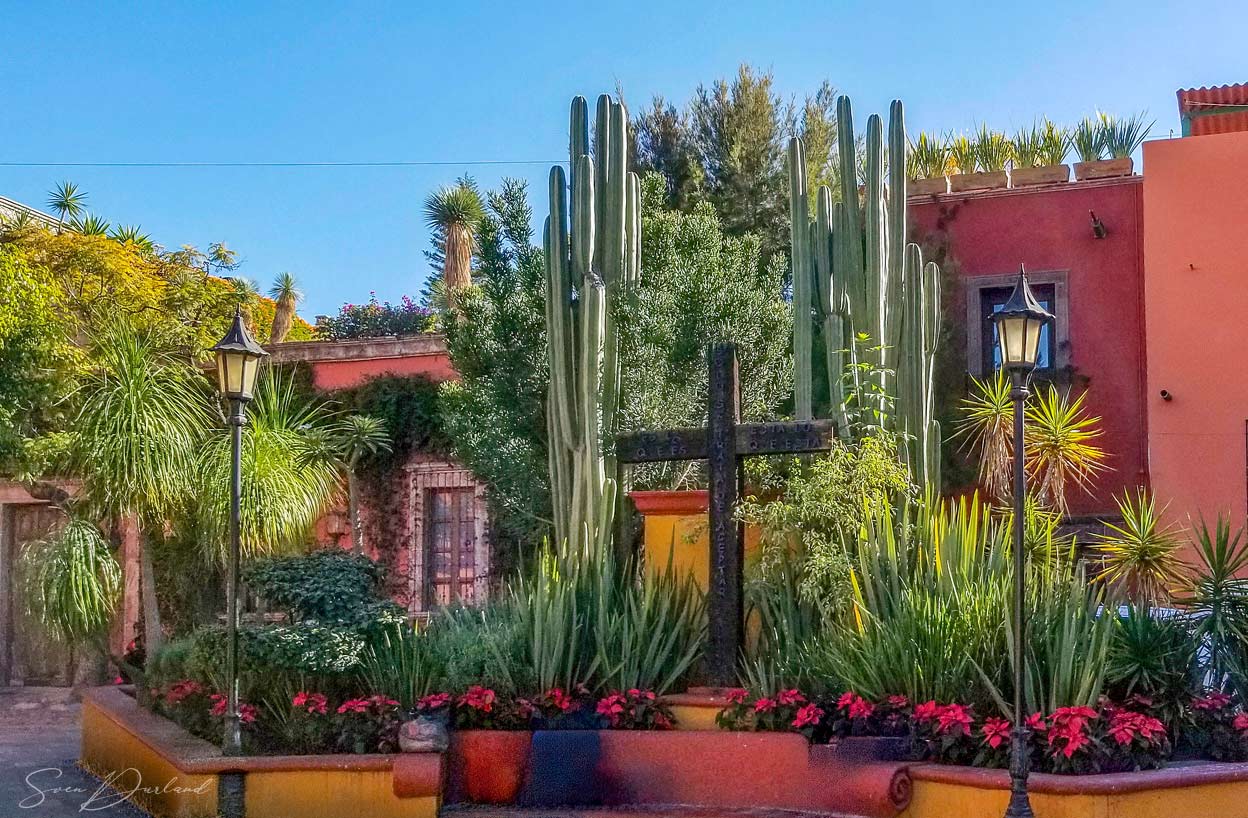 Lush park in San Miguel