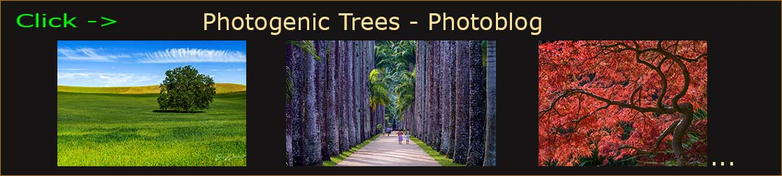 Sven Durland photography blog header